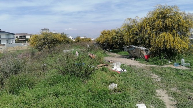 Hurdacı Kaldığı Barakada Yaralı Halde Bulundu