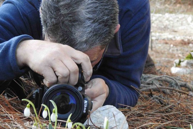 Erzincan’da Baharın Müjdecisi Kardelenler Çiçek Açtı