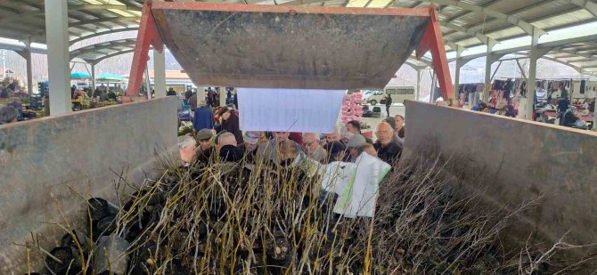 Hisarcık’ta 3 Bin 500 Fidan Dağıtıldı