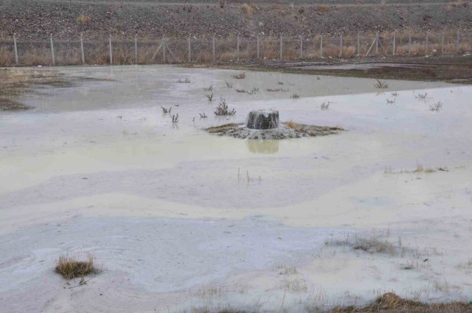 Kars’ta Peynir Altı Sularının Oluşturduğu Gölet Etrafa Pis Koku Yayıyor