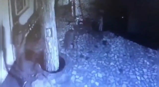 Maltepe’de Lüks Otomobillere Dadanan Şahıslar Yakalandı