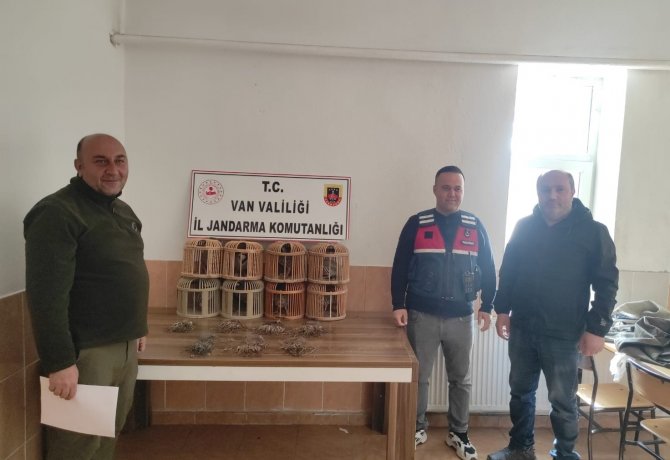 Van’da Kafes Avcılığı
