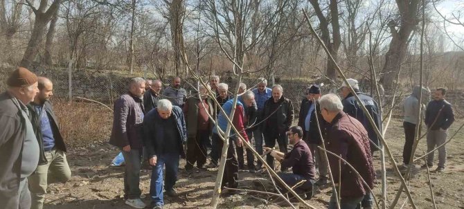 Melikgazi’den Arıcılık Ekonomisine Destek