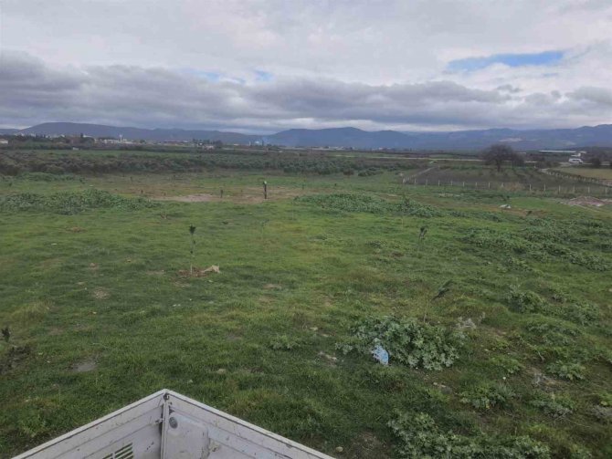 Çöplerin Yerini Zakkum Çiçekleri Alıyor