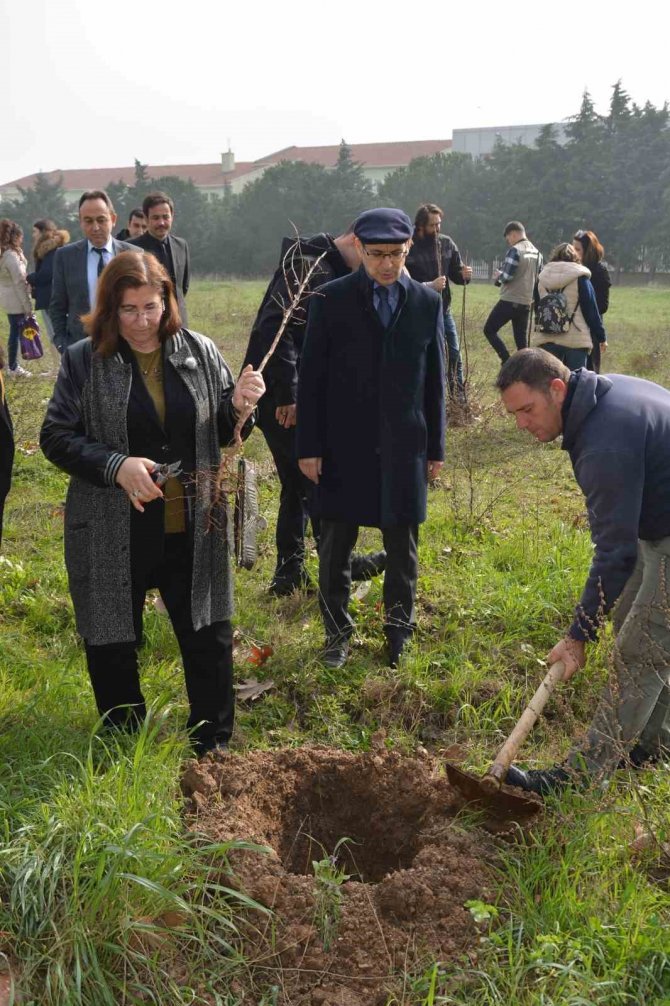 Karacabey Myo Depremde Hayatını Kaybedenler Anısına Fidan Dikti