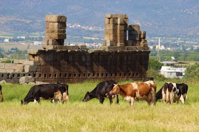 Aydınlı Doğaseverler, Madran Dağı’nı Keşfetti