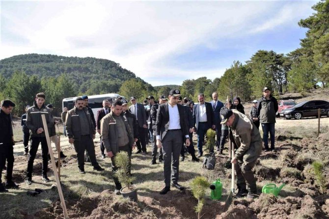 Domaniç’te 250 Karaçam Fidanı Toprakla Buluştu