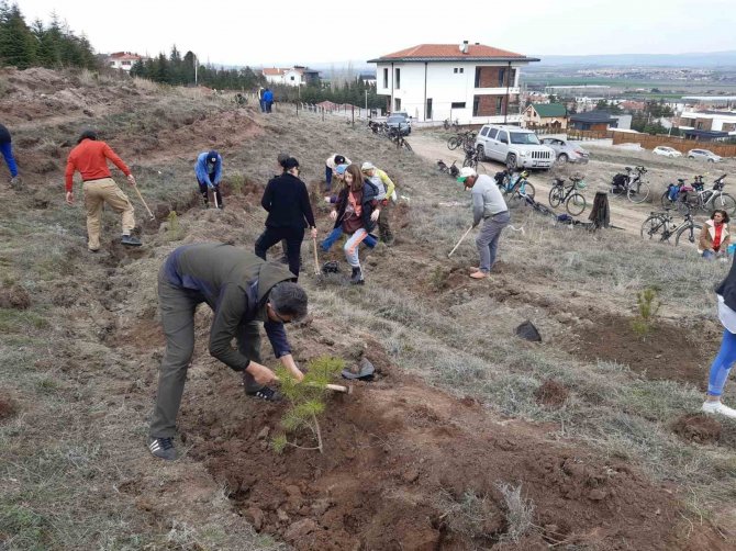 Orman Haftası Kutlamasında 250 Fidan Dikildi