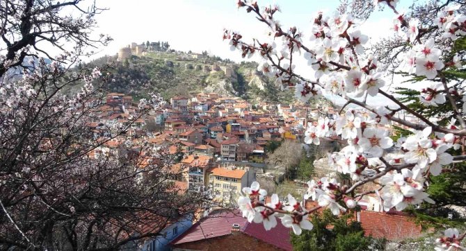 Kütahya’da Badem Ağaçlarının Çiçek Açması Güzel Görüntüler Oluşturdu
