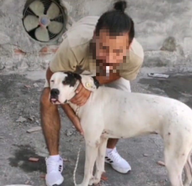 5 Yaşındaki Çocuğa Ve Kadına Saldıran Köpeğin Sahibine Hapis Talebi