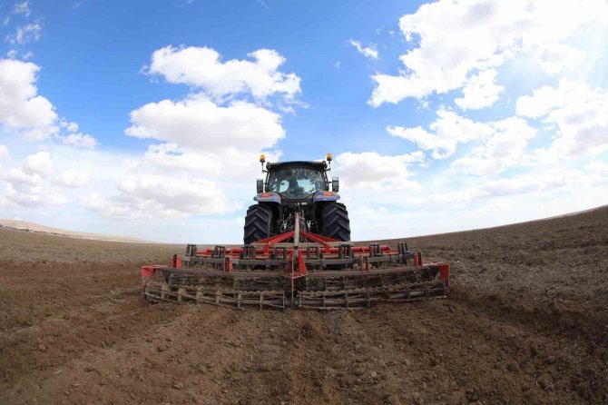 Konya Büyükşehir 800 Bin Metrekarelik Araziye Aspir Bitkisi Ekti