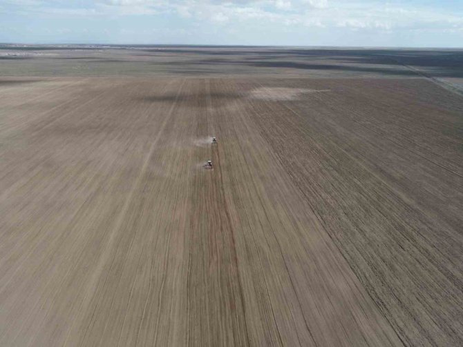 Konya Büyükşehir 800 Bin Metrekarelik Araziye Aspir Bitkisi Ekti