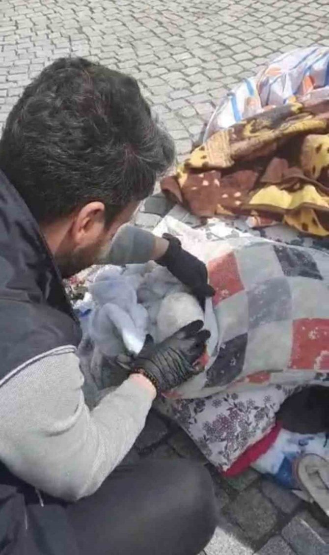 Yastık İçerisine Gizlenmiş 1 Kilo Sentetik Uyuşturucuyla Yakalanan Şahıs Tutuklandı