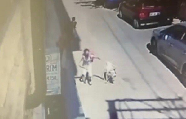 5 Yaşındaki Çocuğa Ve Kadına Saldıran Köpeğin Sahibine Hapis Talebi