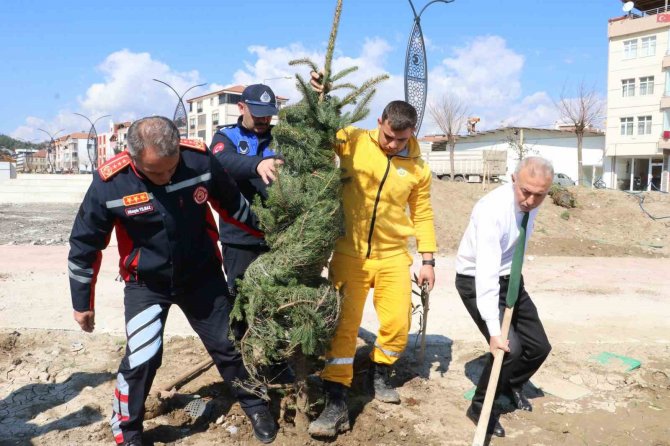 Taşova Millet Bahçesi’ne 3 Bin 500 Fidan