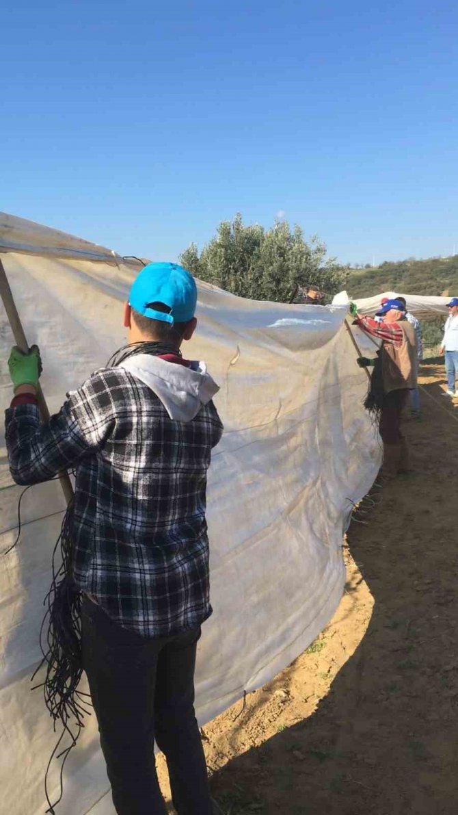 Sarıgöl’de Uyanan Üzüm Bağları Koruma Altına Alındı