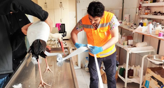 Keçiören Belediyesi Binlerce Afetzede Canlıyı Tedavi Etti