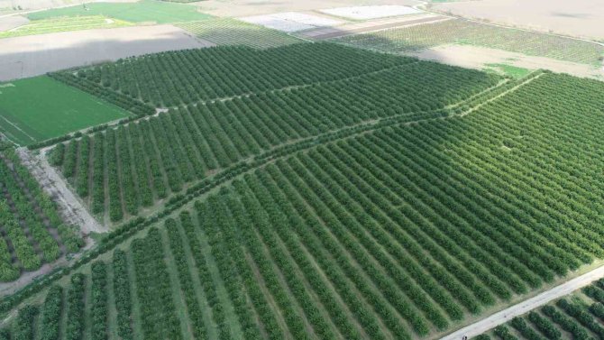 Zirai Don Adana’yı Teğet Geçebilir