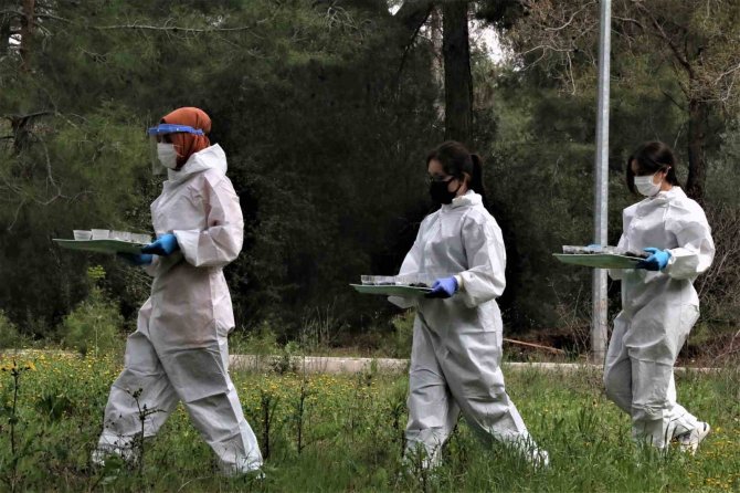 Antalya’da 50 Metrekare Alanda 60 Bin "Terminatör" Böcek Üretiliyor