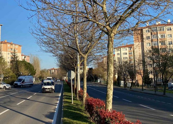 Çöp Kamyonundan Düşen Belediye İşçisi Yaralandı