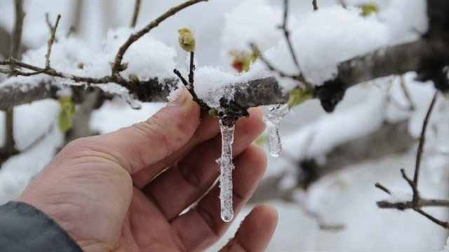 Erzincan İçin Zirai Don Uyarısı