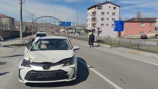 Başı Boş Hayvanlar Kazaya Sebep Oldu