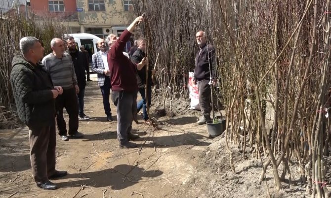 Muş’ta Fidan Satışları Başladı