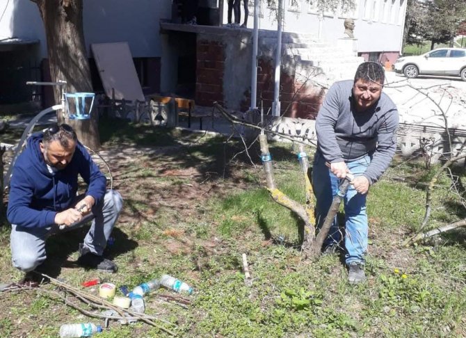 Duyarlı Öğretmenden Yabani Meyve Ağaçlarına Aşı