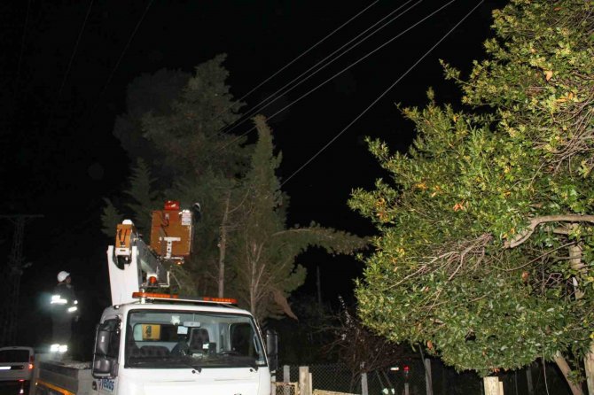 Sinop’ta Fırtına Elektrik Telini Kopardı