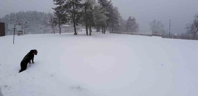 Abant’ta Kar Kalınlığı 15 Santimi Geçti