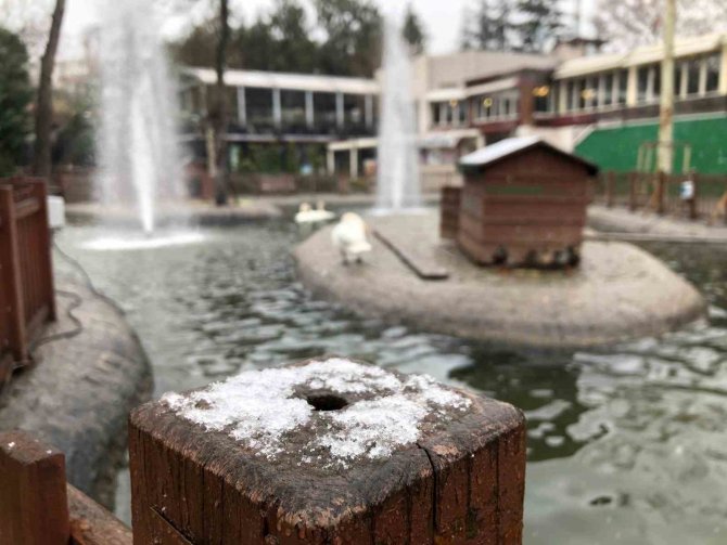 Baharı Bekleyen Ankara’ya Kış Geri Geldi