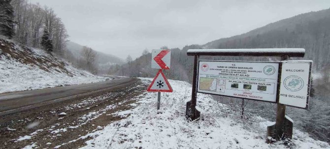 Kar Yüzünü Yeniden Gösterdi, Doğa Beyaz Örtüyle Kaplandı