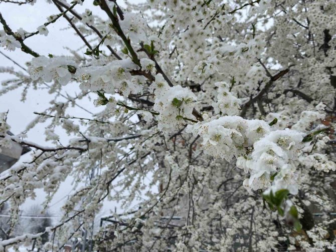 Bartın’ın Yüksek Rakımlı Bölgelerinde Kar Yağışı Devam Ediyor