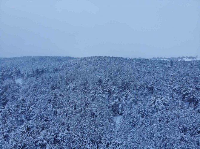 Bilecik’te Mart Ayında Kar Yağışı