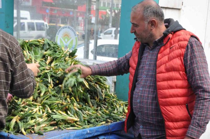 Şifa Kaynağı ’Çiriş’ Otu Tezgahlardaki Yerini Aldı