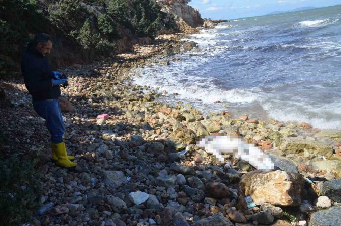 Didim’de Denizde Bir Ceset Daha Bulundu
