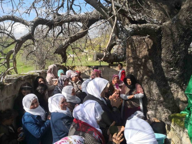 Diyarbakır’da ‘Murat Şenlikleri’ Yapıldı
