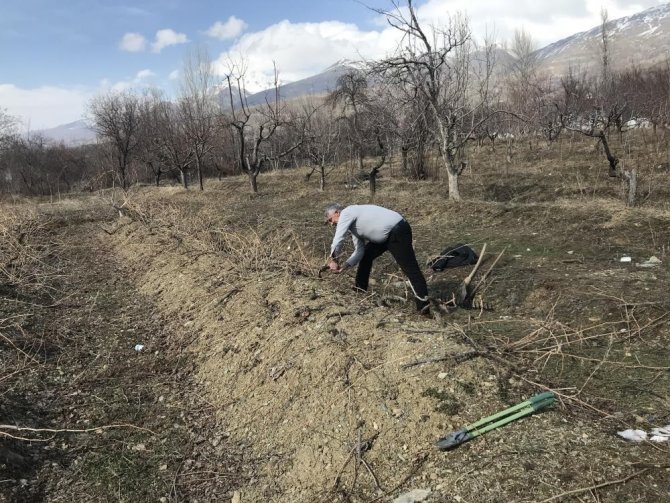 Tescilli Cimin Üzümü Mesaisi Sürüyor