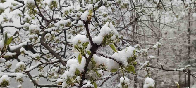 Kar Yüzünü Yeniden Gösterdi, Doğa Beyaz Örtüyle Kaplandı