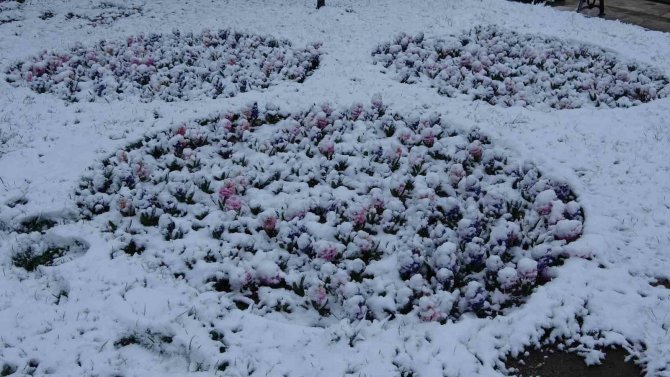 Geceden Sabaha Kadar Yağan Kar Sonrası Şehir Eşsiz Güzelliğe Büründü