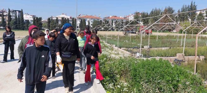 Öğrenciler Kurumları Gezdi, Fidan Dikti