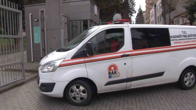 Kadıköy’de Marmara Üniversitesi Yerleşkesinde Göçük: 1 İşçi Göçük Altında Kaldı