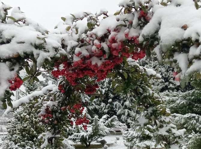 Hisarcık Esire Termal Turizm Merkezi Beyaza Büründü