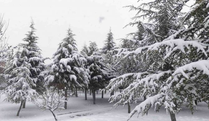 Hisarcık Karbasan Köyünde Kar Kalınlığı 10 Santimetreyi Aştı