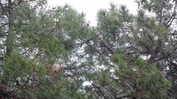 Ramazan Ayında İ̇stanbul’a Kar Yağdı