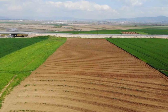 Depremzede Çiftçiler Üretmek İçin Döndü, Tarlalarında Mesaiye Başladı