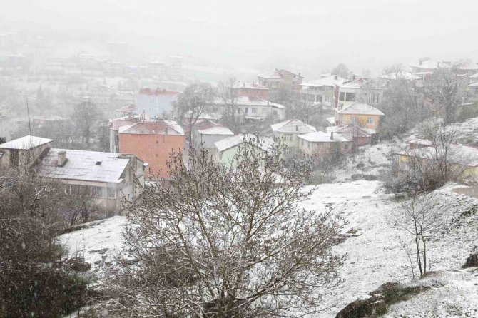 Mart Kapıdan Baktırdı: Kavak Beyaza Büründü