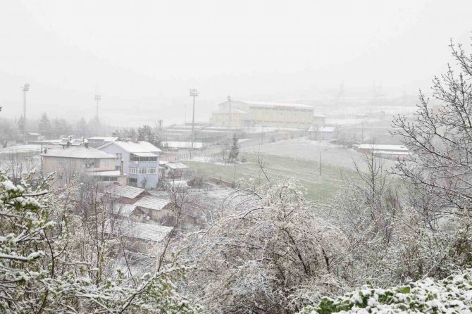 Mart Kapıdan Baktırdı: Kavak Beyaza Büründü
