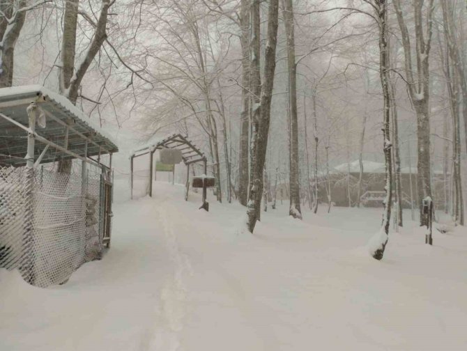 Bahar Ayında Kocaeli Beyaza Büründü, Kar Kalınlığı 30 Santimi Aştı