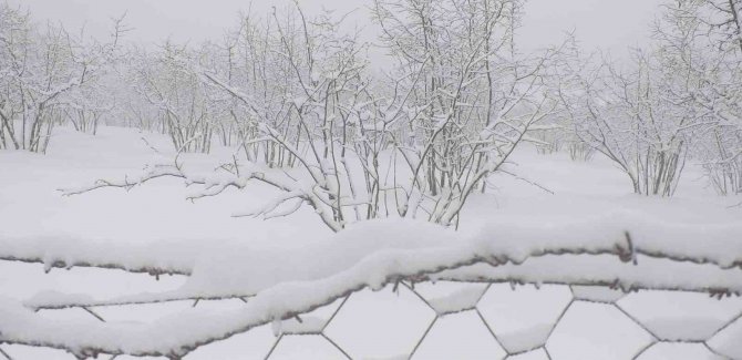 Sakarya’nın Yüksek Kesimleri Beyaza Büründü